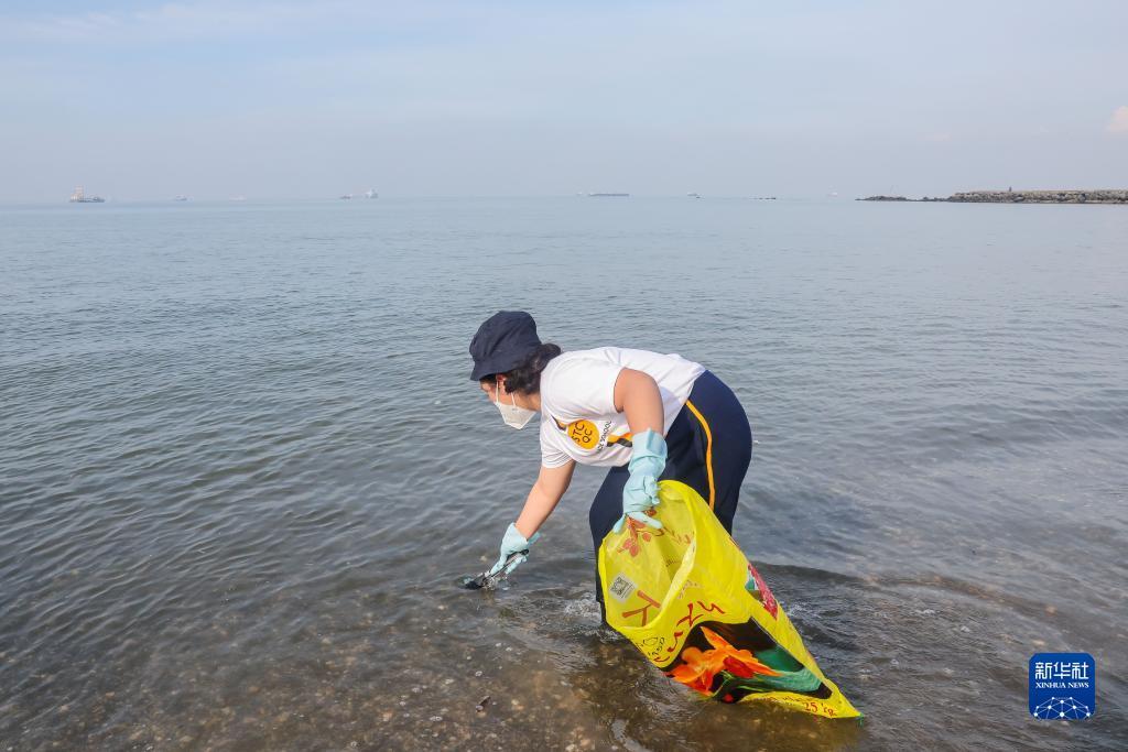 大乐透大赢家软件破解